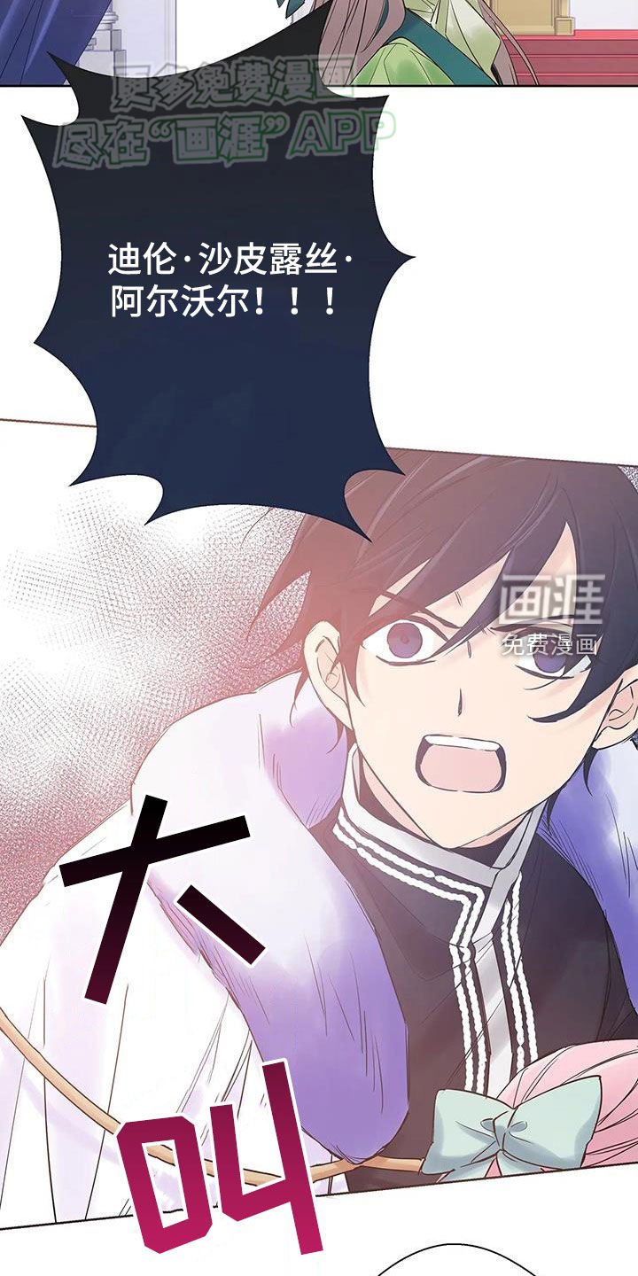 第20章：生日礼物