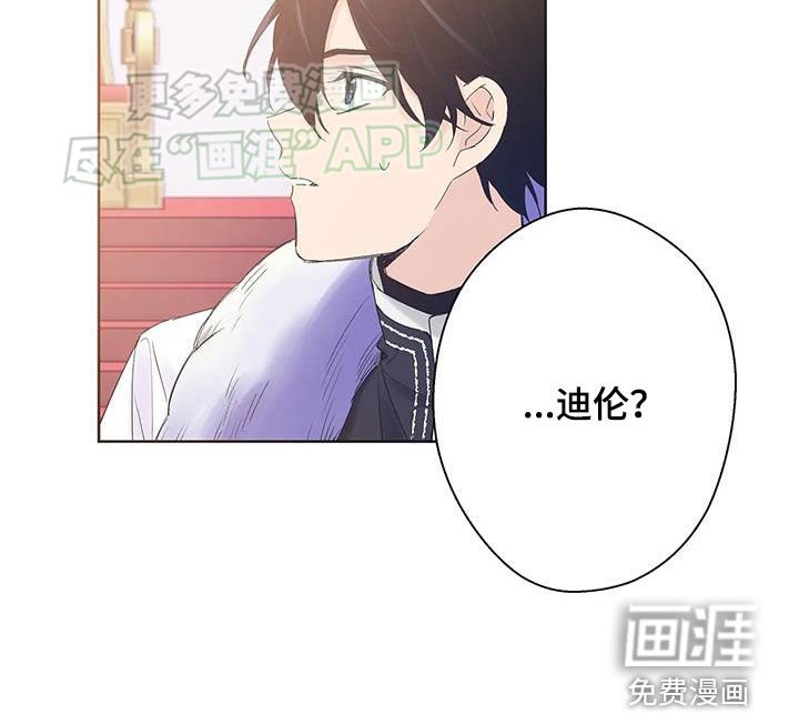 第20章：生日礼物