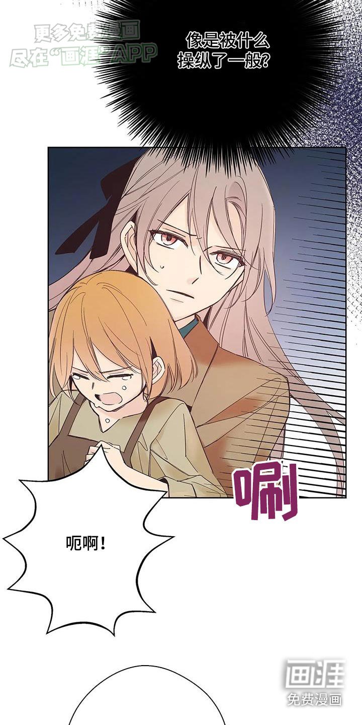 第28章：有人操控