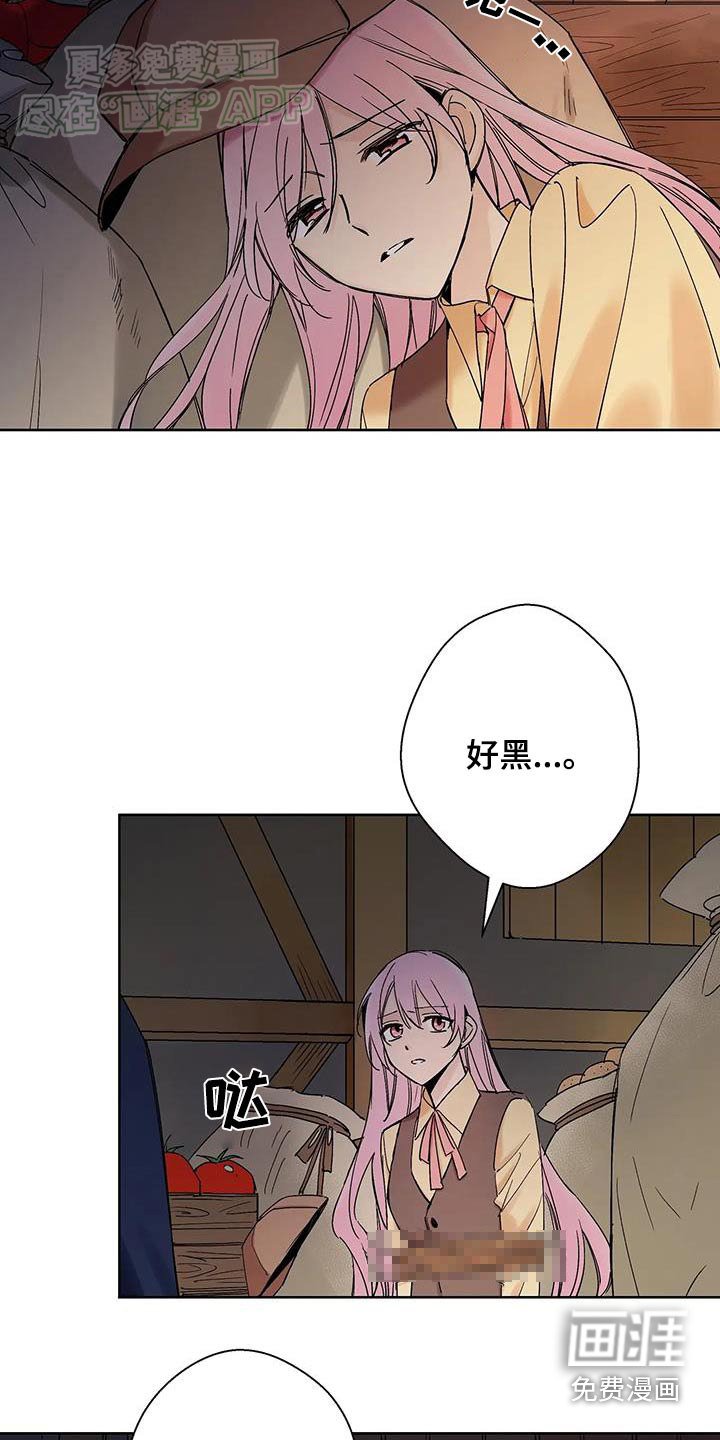 第29章：你是谁