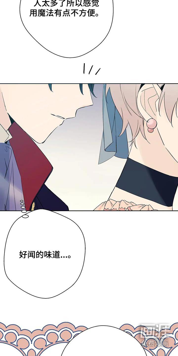 第36章：我的荣幸