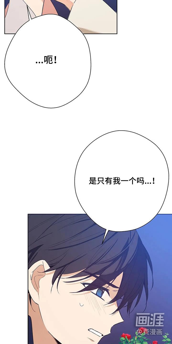 第38章：这一次