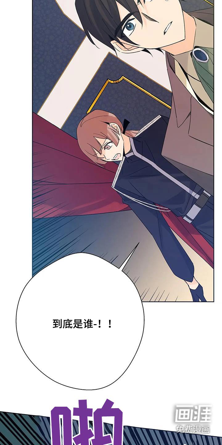 第47章：刺杀