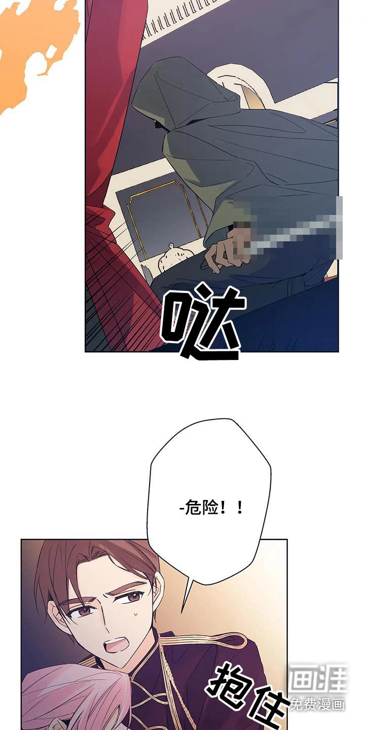 第47章：刺杀