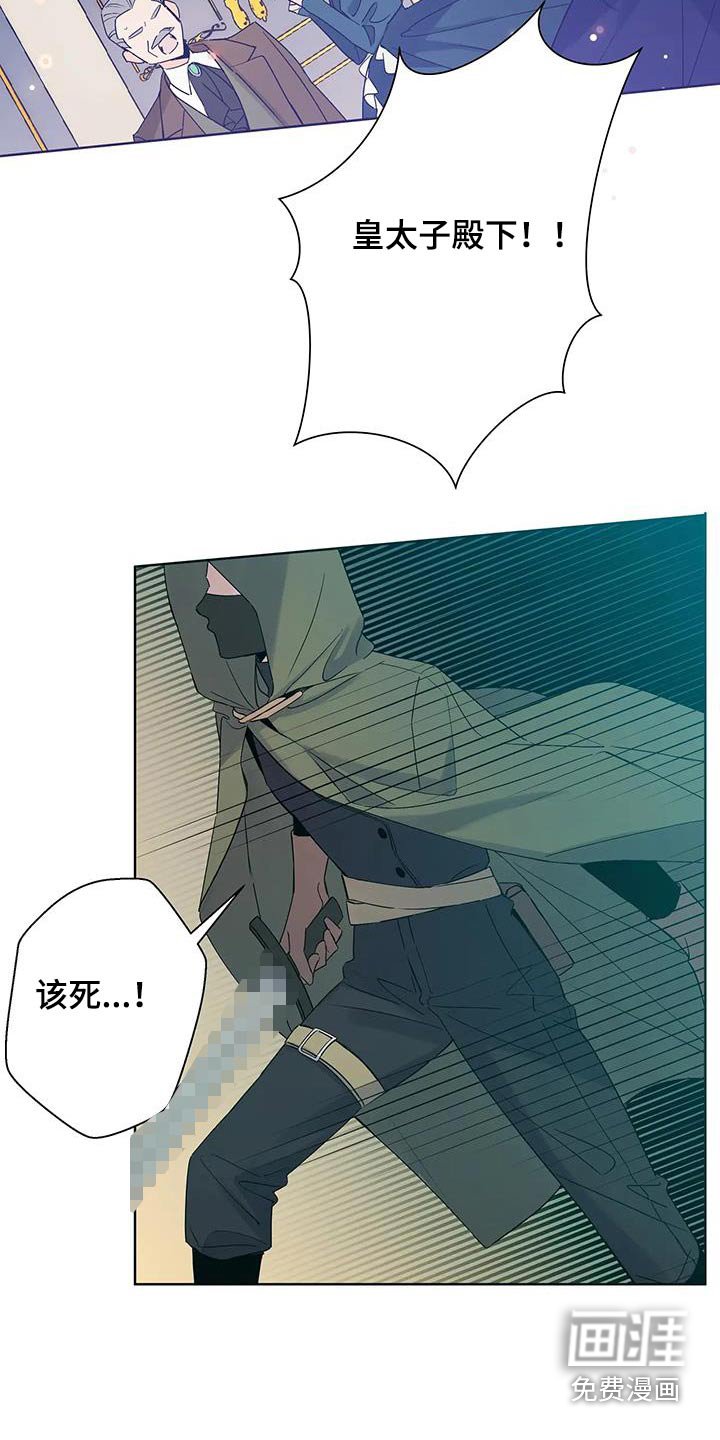 第47章：刺杀