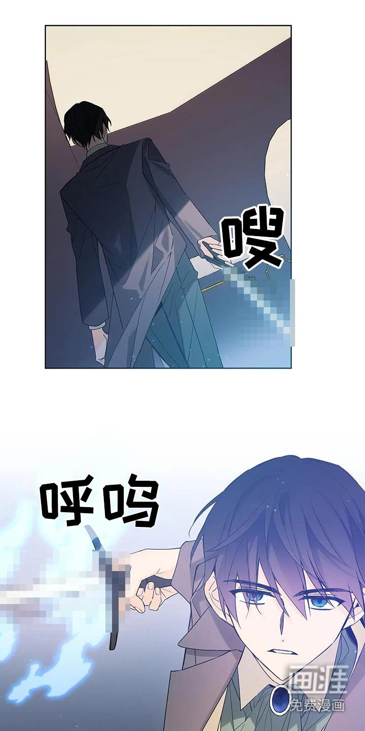 第47章：刺杀