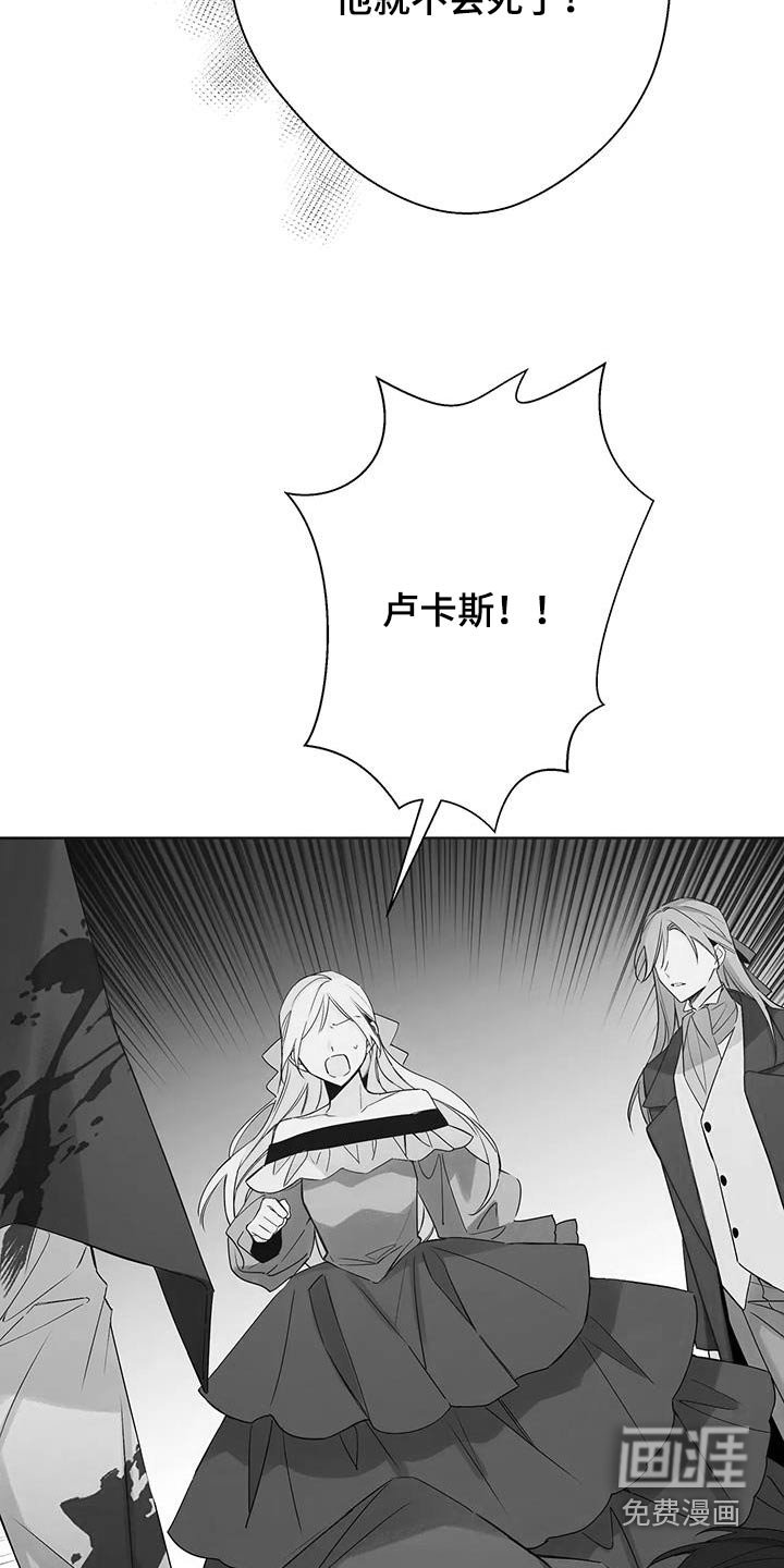 第47章：刺杀