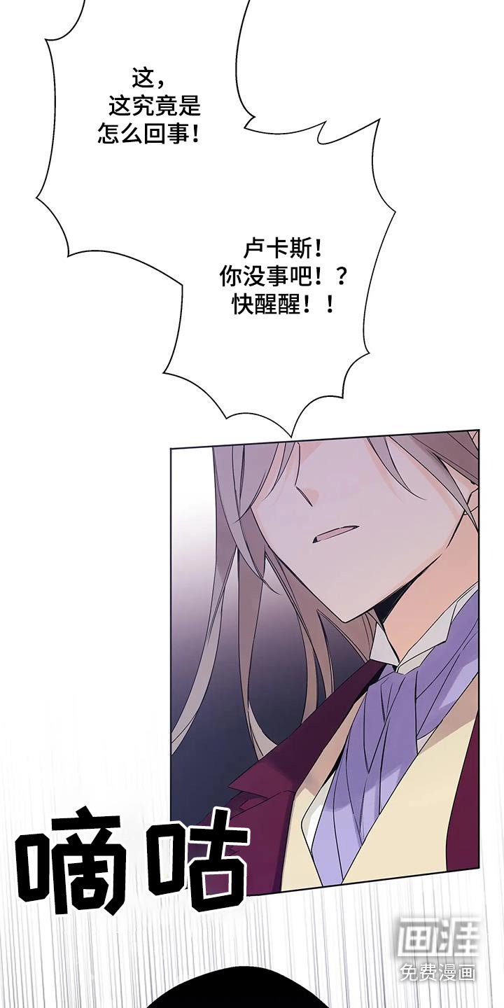 第47章：刺杀
