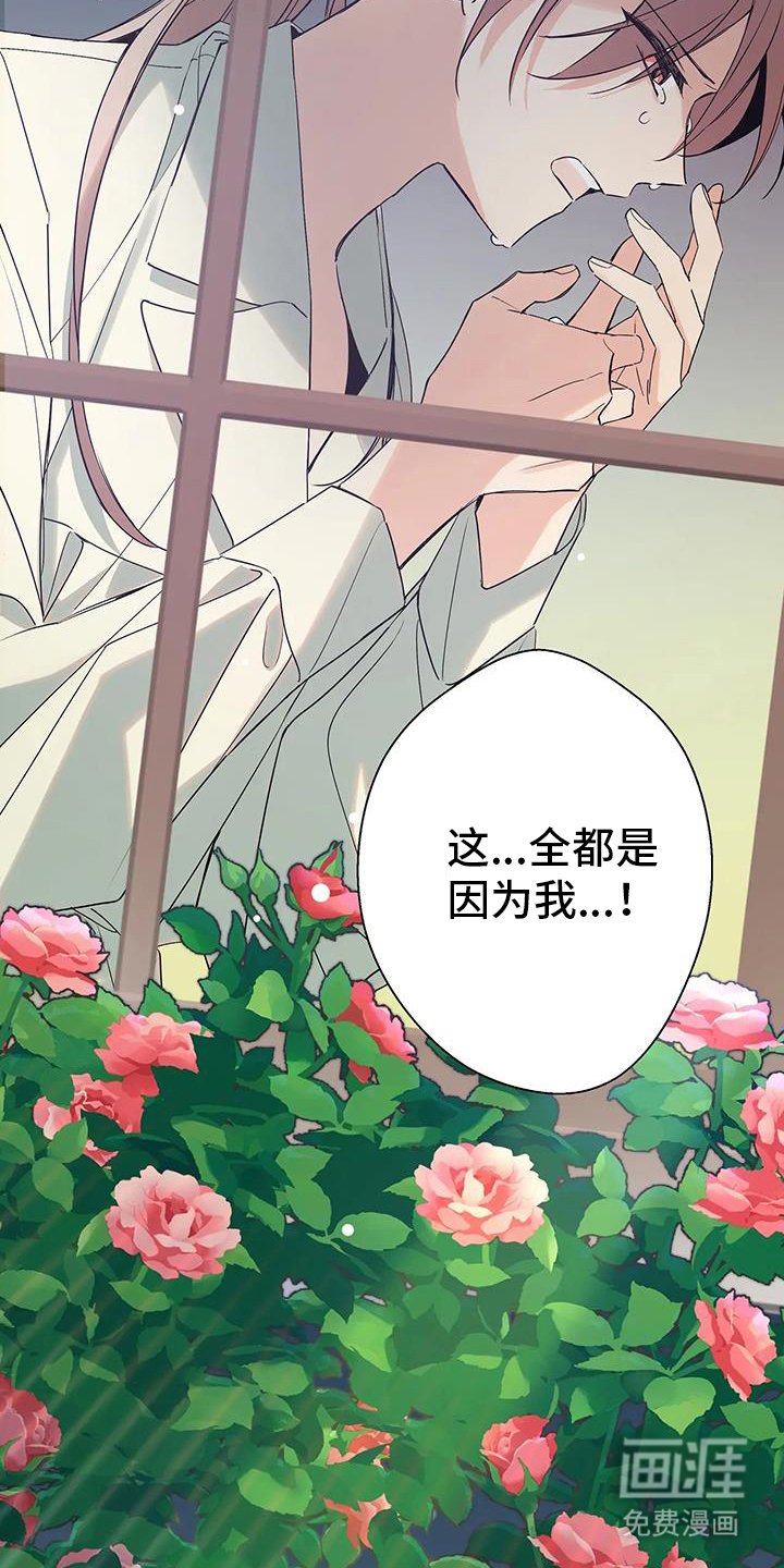 第50章：魔法的错误