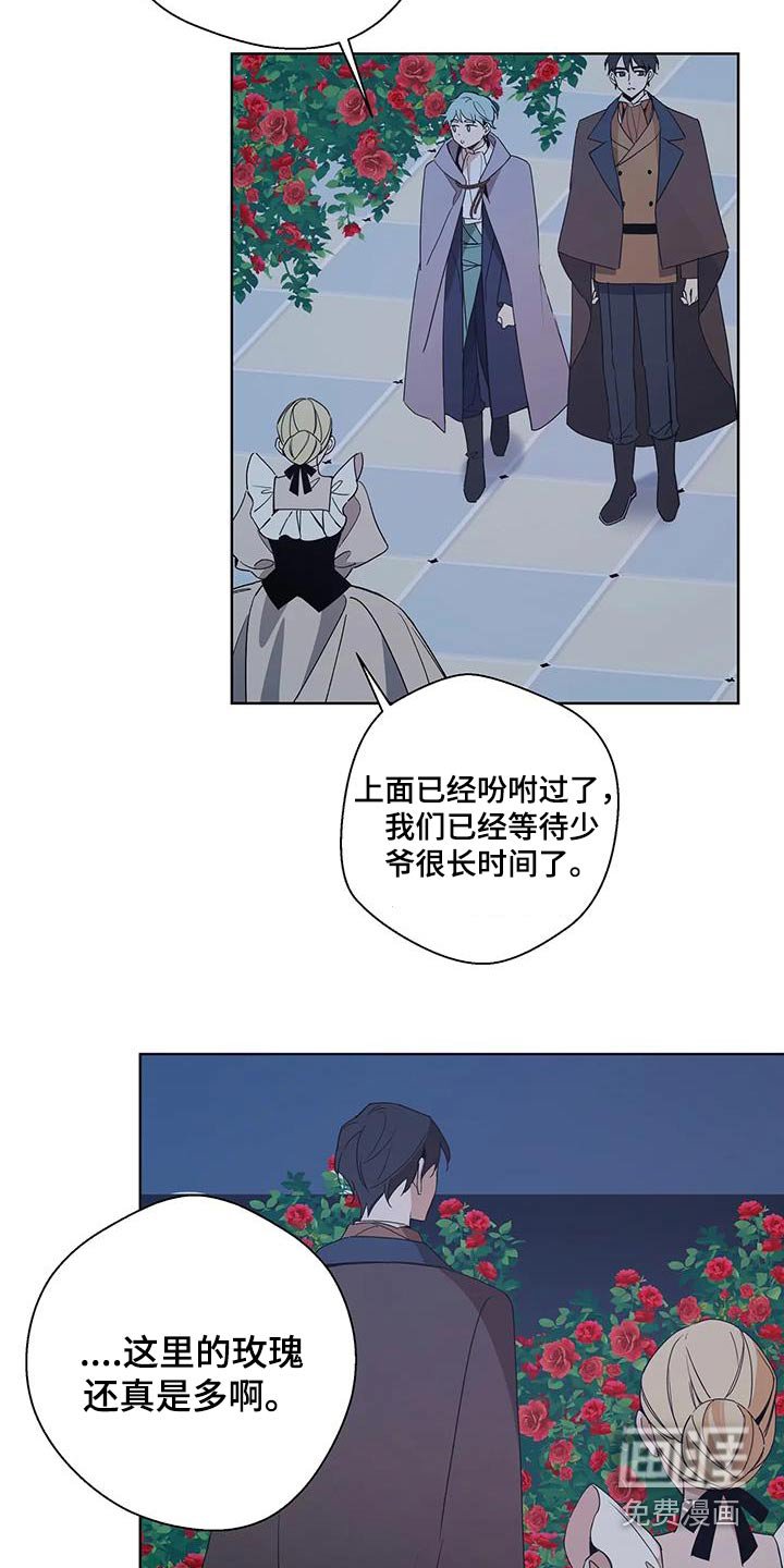第52章：谁的记忆