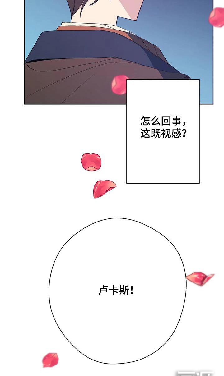第52章：谁的记忆