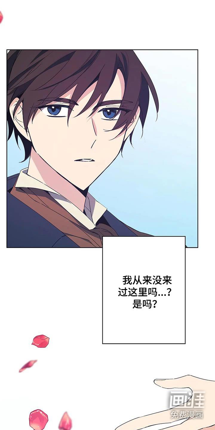 第52章：谁的记忆