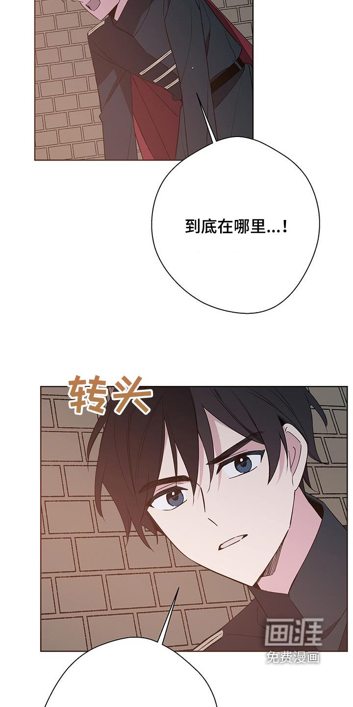 第62章：该结束了