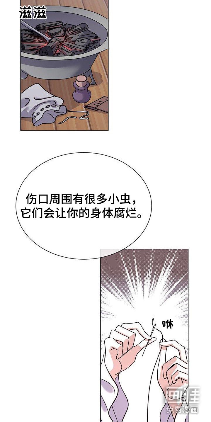 第11章：治疗伤口