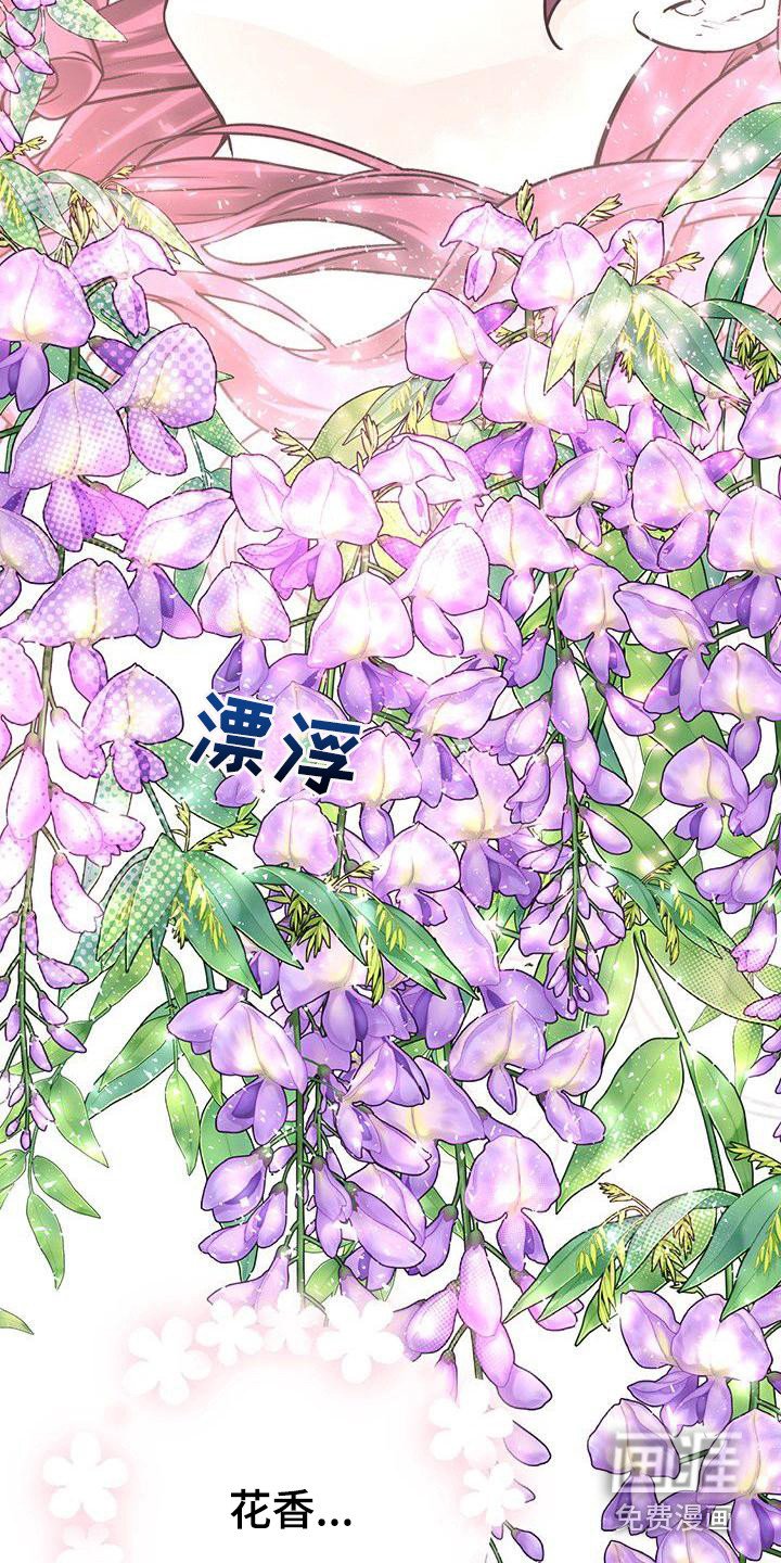 第14章：香气