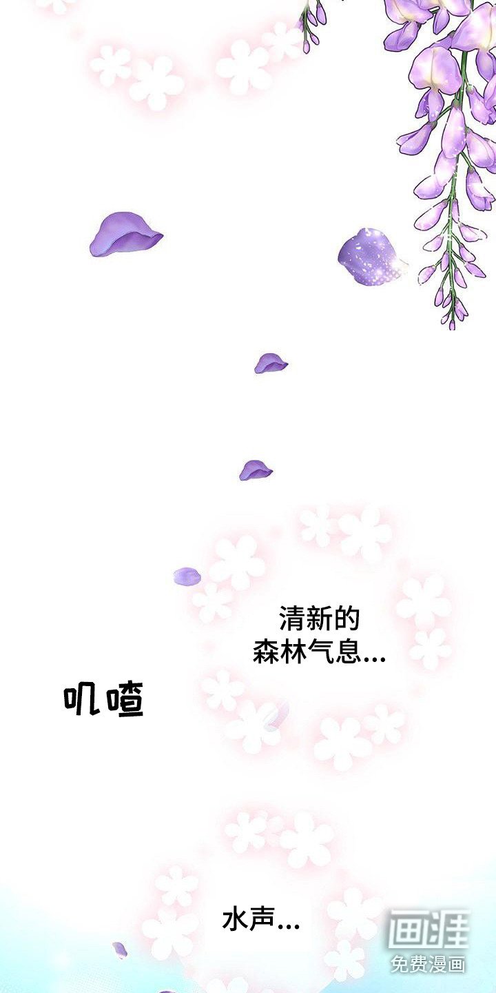 第14章：香气
