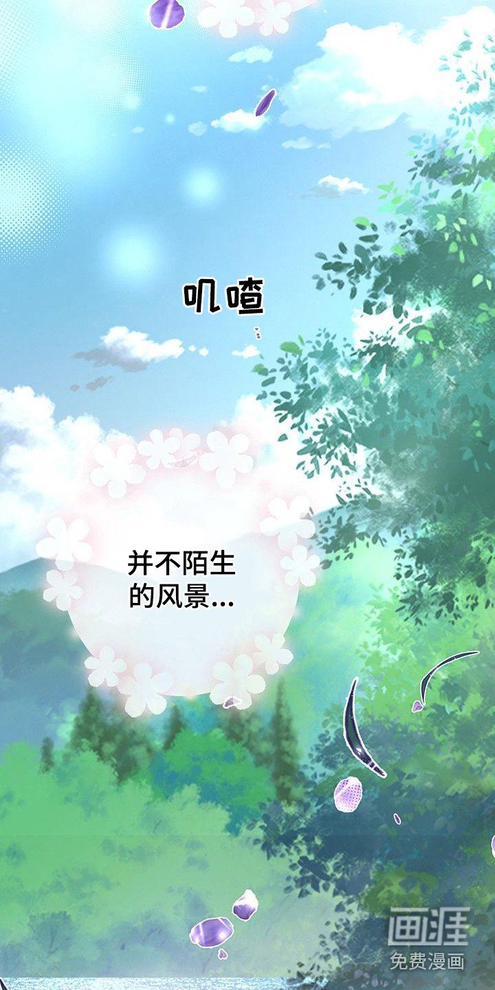 第14章：香气