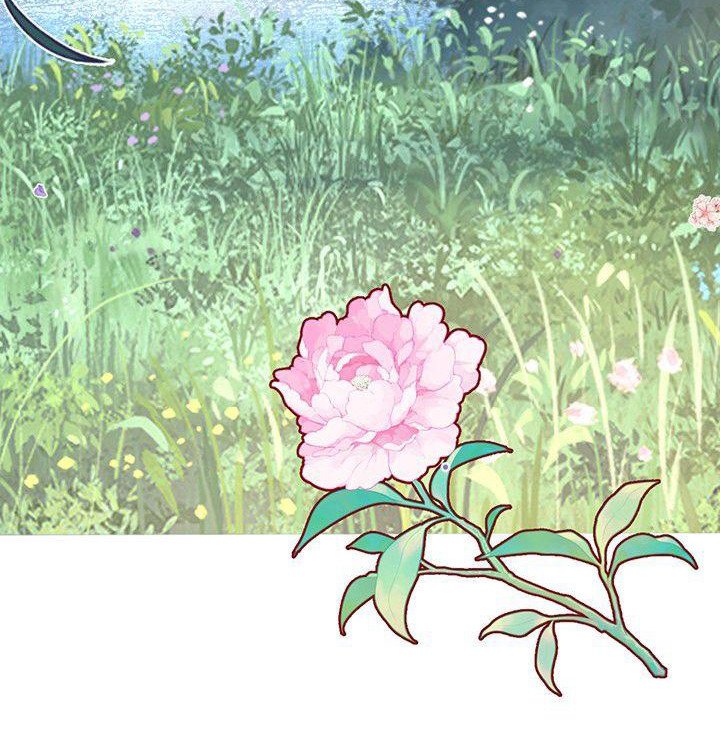 第14章：香气