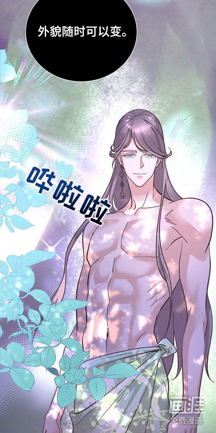 第14章：香气
