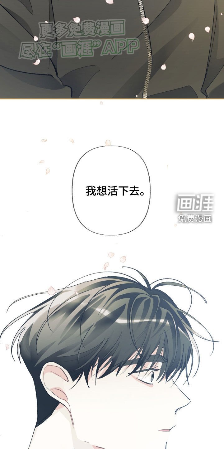 第100章：让我爱你