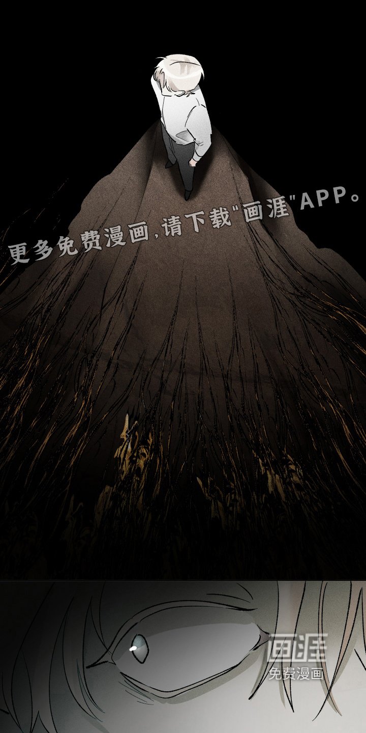 第19章：表情