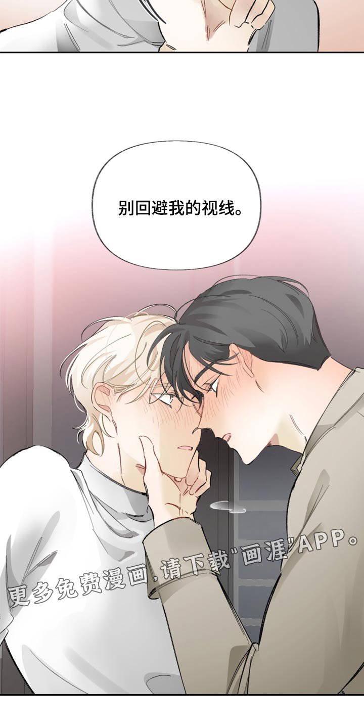 第20章：别回避我的视线
