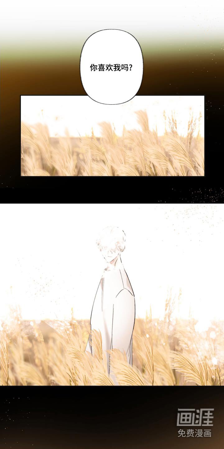 第41章：这一点