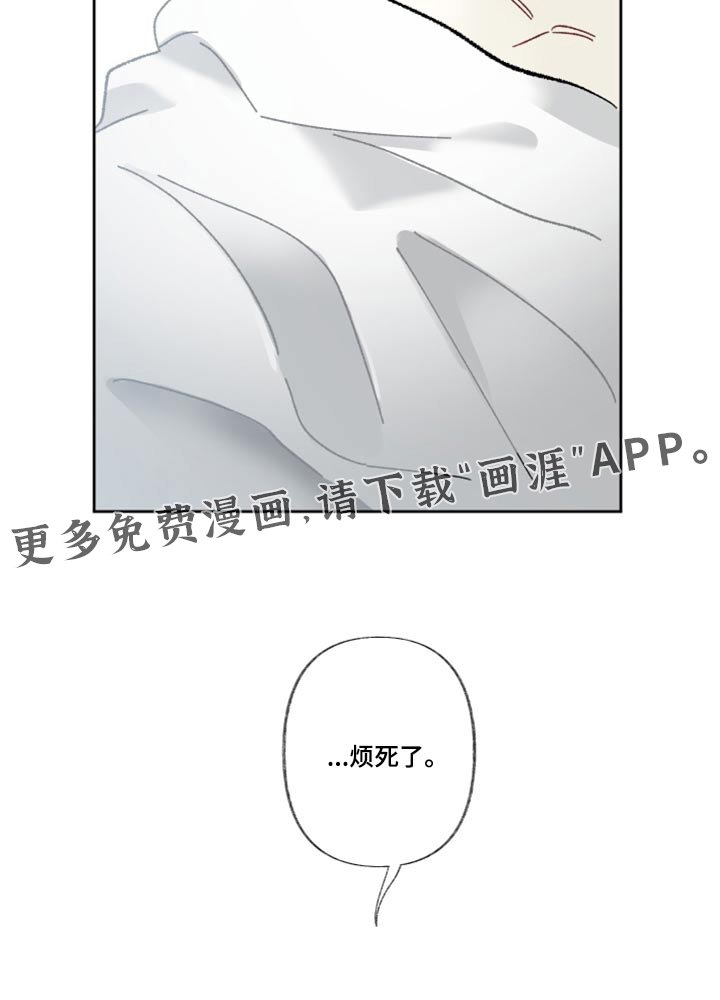 第41章：这一点