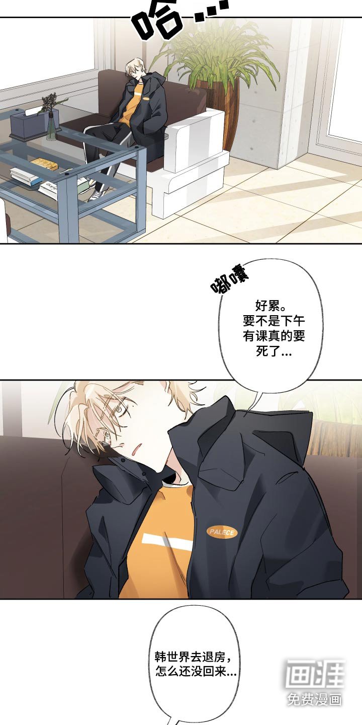 第44章：我写的
