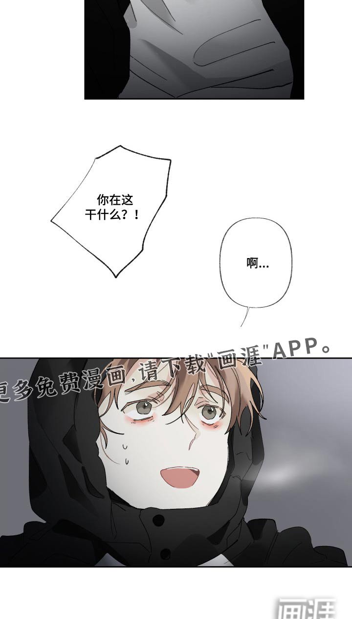 第46章：你在这