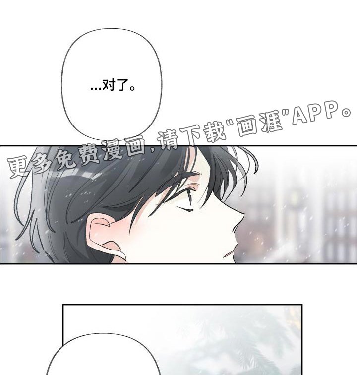 第50章：芦苇地