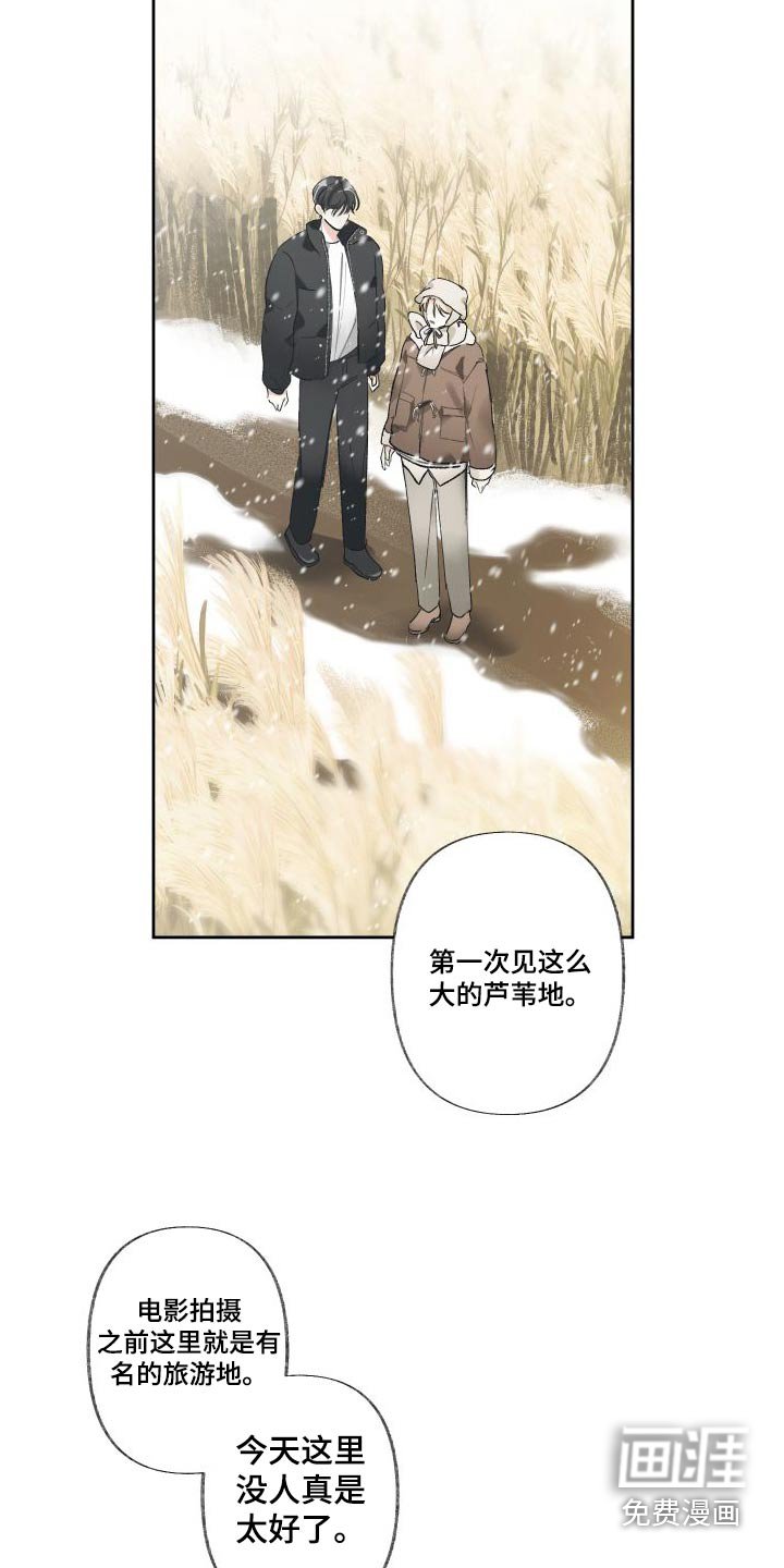 第50章：芦苇地