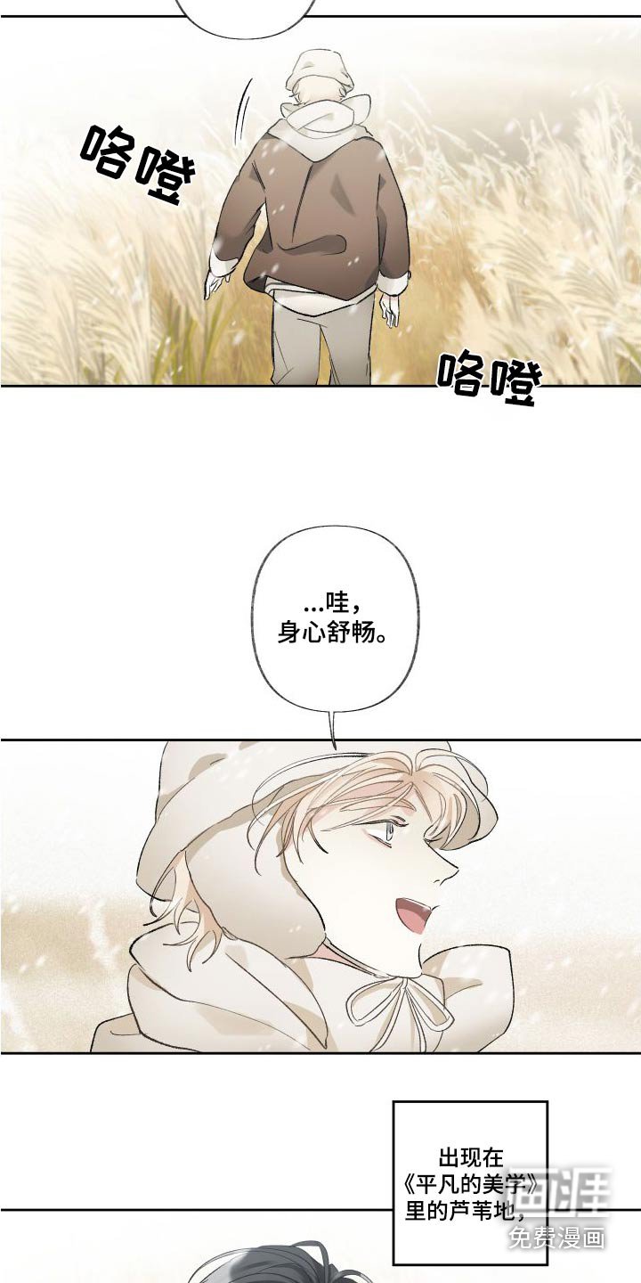第50章：芦苇地