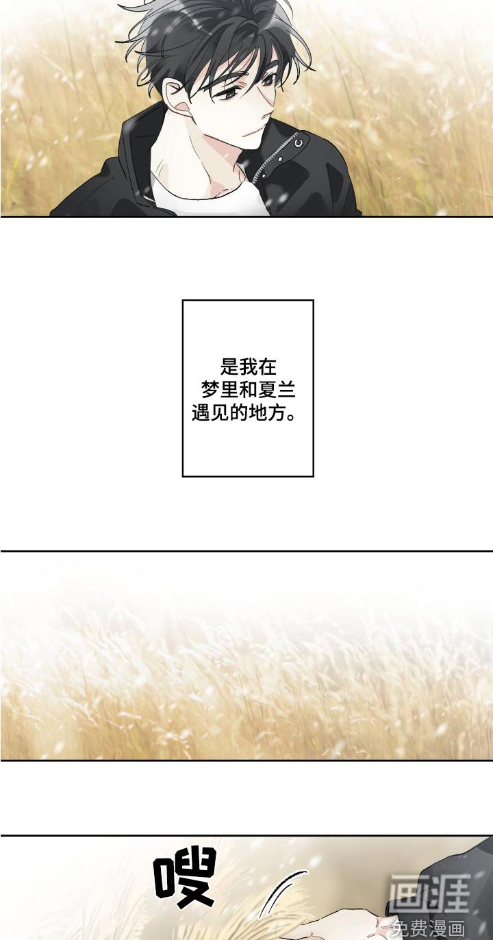 第50章：芦苇地