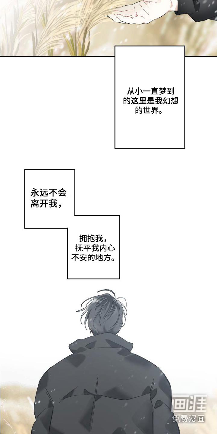 第50章：芦苇地