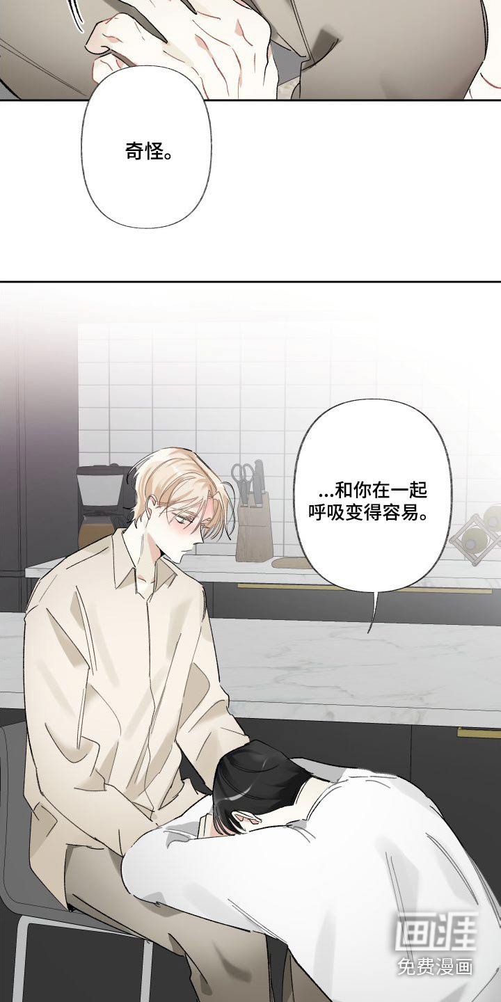 第52章：表现