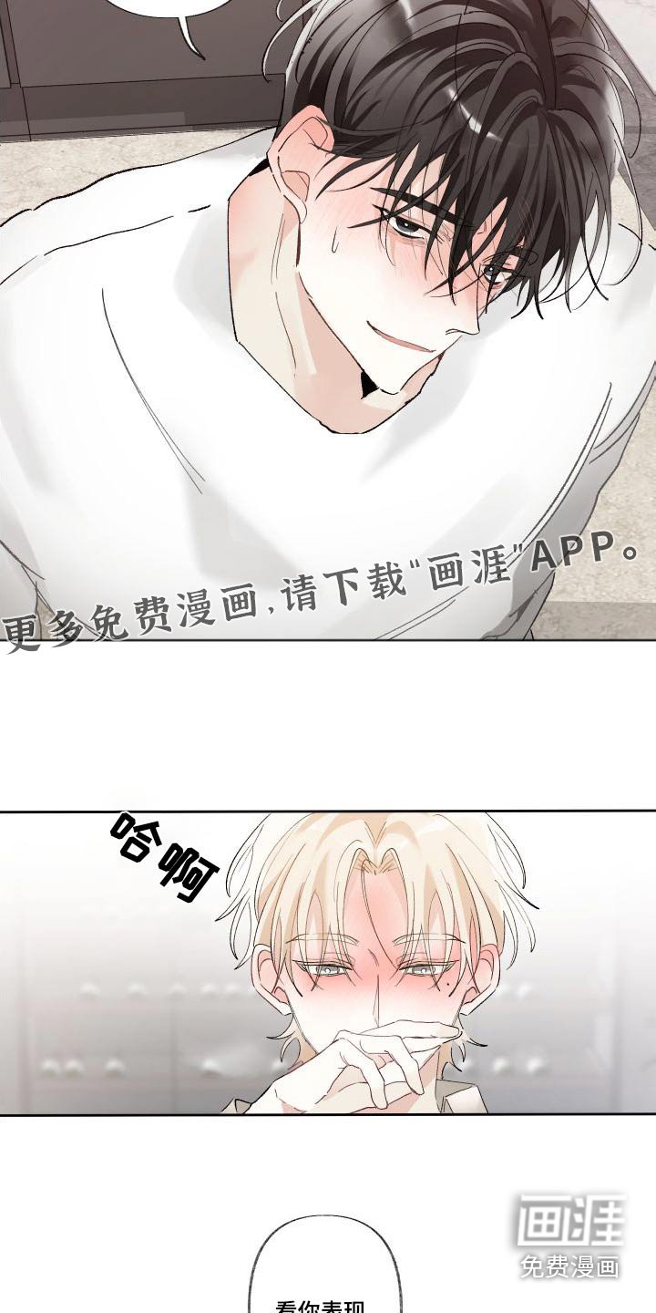第52章：表现