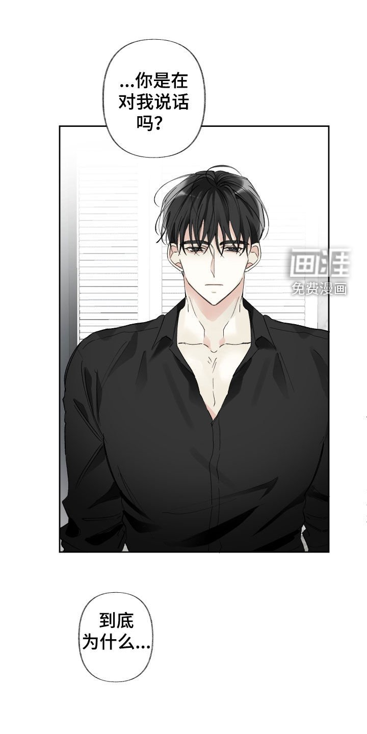 第61章：替代品