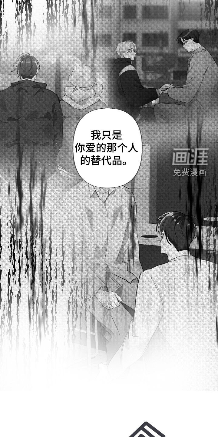 第61章：替代品