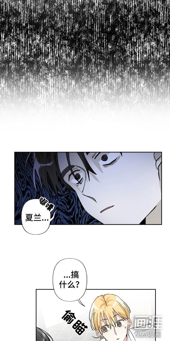 第61章：替代品
