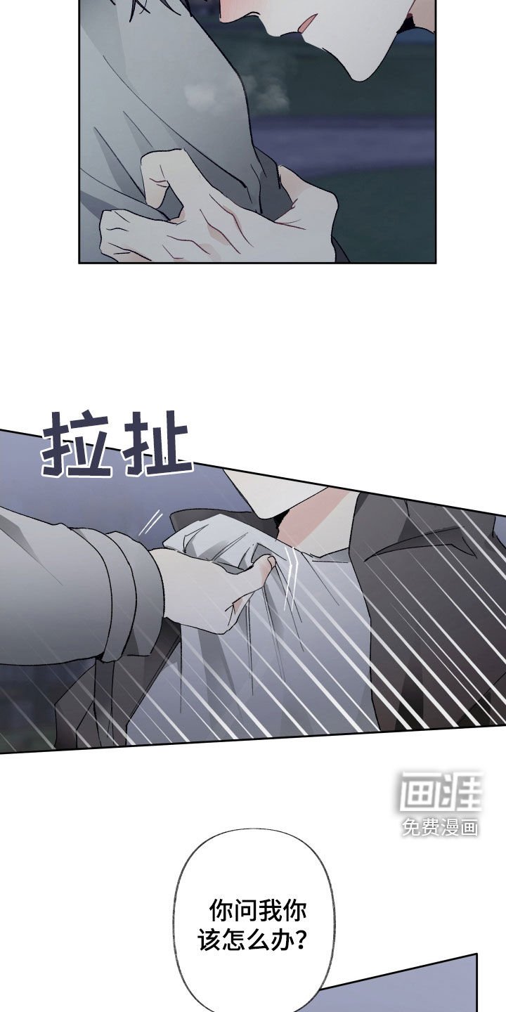 第73章：纠缠