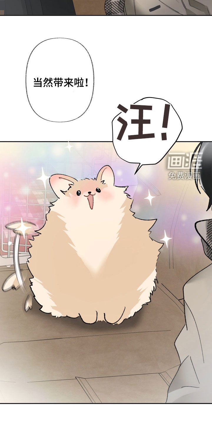 第81章：不知放弃