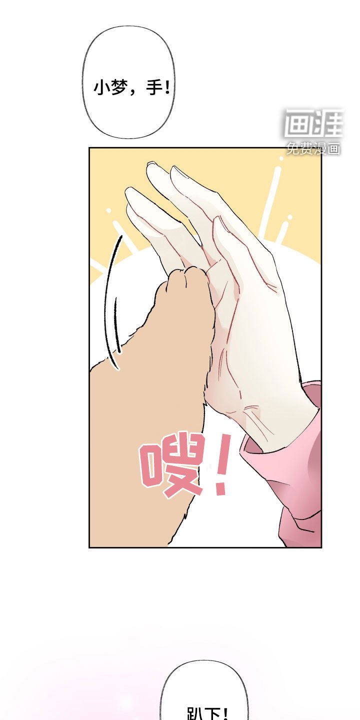 第86章：不决定续约