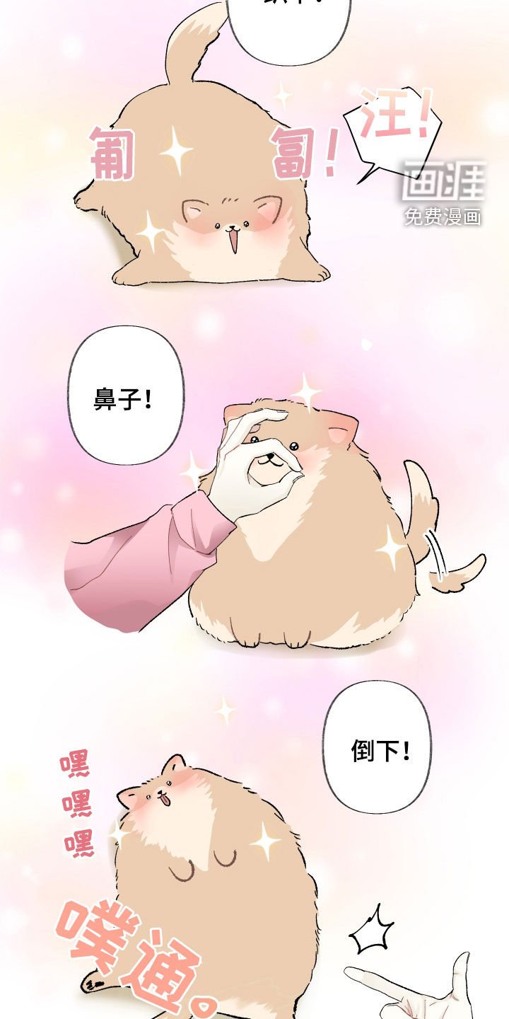 第86章：不决定续约