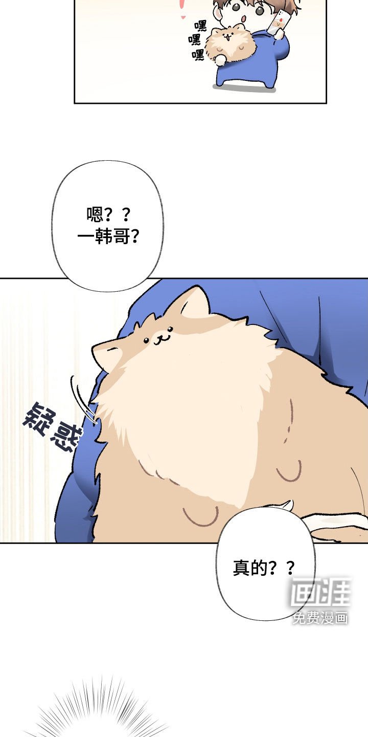 第86章：不决定续约