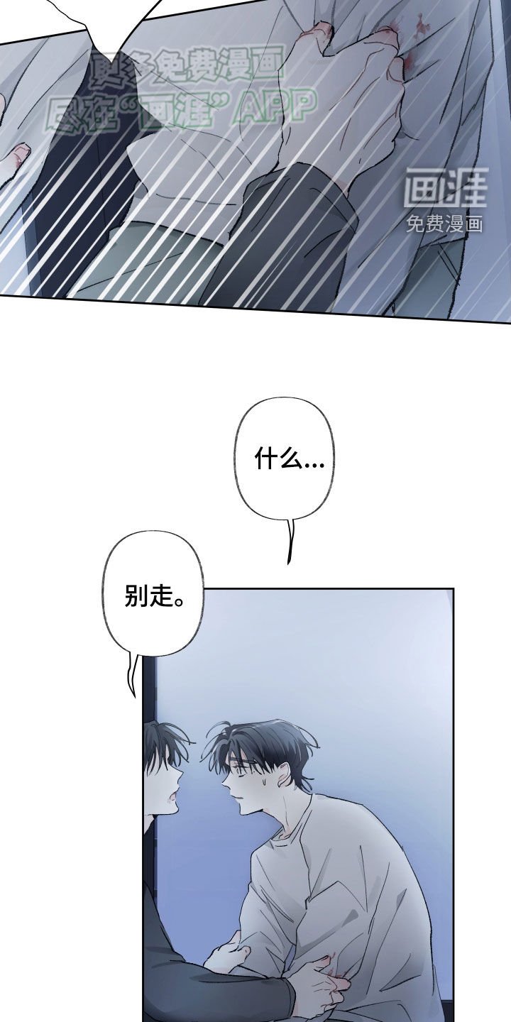第92章：求你别丢下我