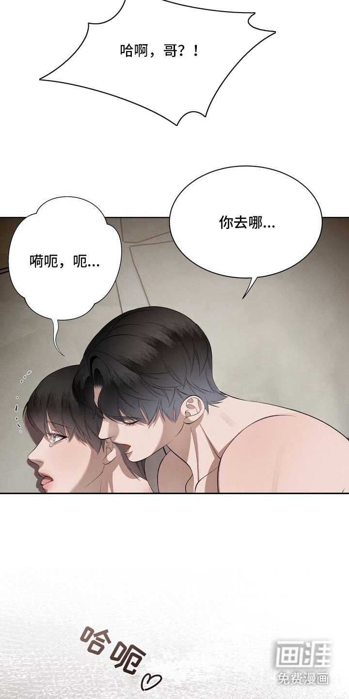 第10章：环蛇禁果：合照