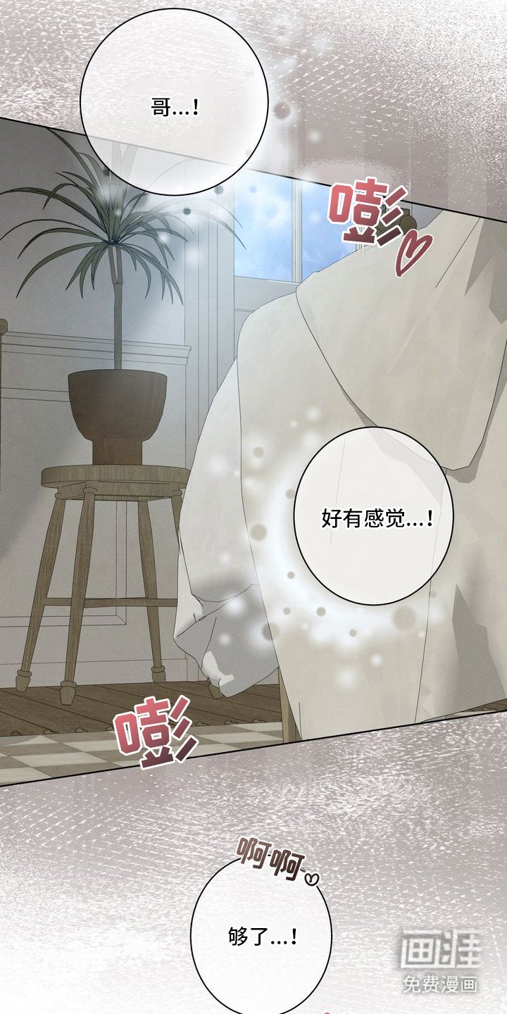 第10章：环蛇禁果：合照