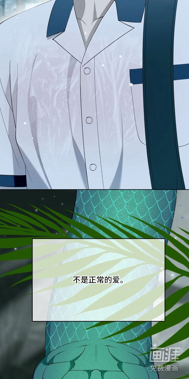 第13章：环蛇禁果：伤痕