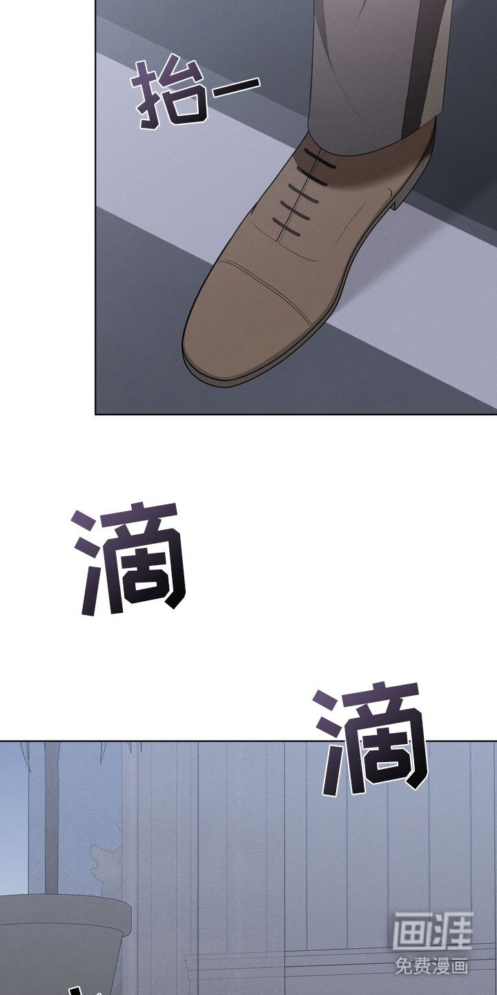第13章：环蛇禁果：伤痕
